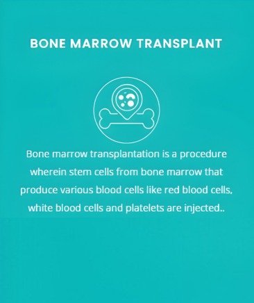 WhatsApp Image 2026-01-29 at 12.52.45 PM (1)