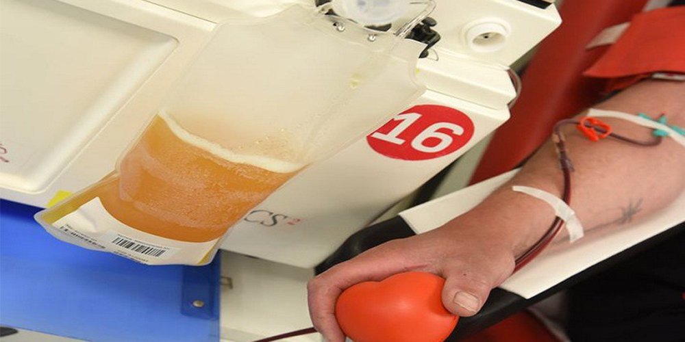 Read more about the article महाराजा अग्रसेन के छात्रों की अनोखी खोज! बनाया ‘प्लाज्मा डोनर्ज’ ऐप